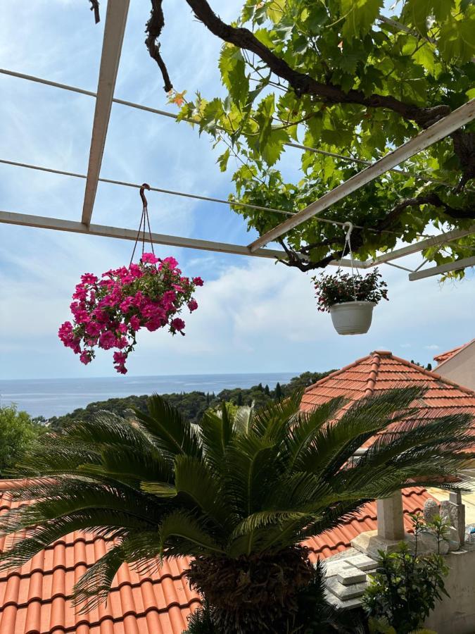 Apartments Lomara Dubrovnik Buitenkant foto
