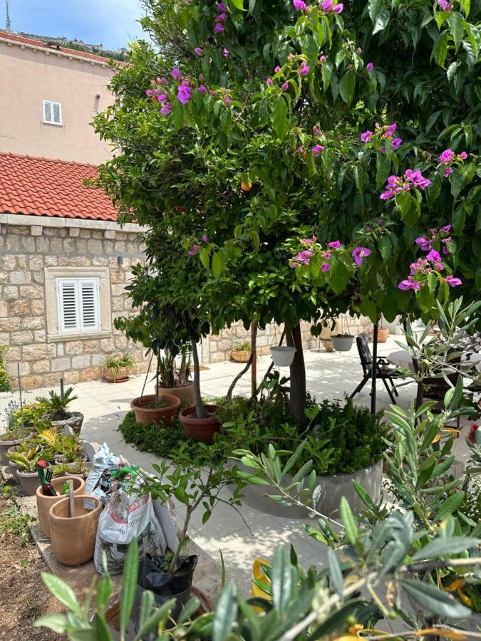 Apartments Lomara Dubrovnik Buitenkant foto